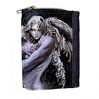   Castlevania 317698