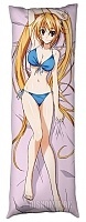   High School DxD Irina Shidou  