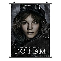  Gotham Selina Kyle
