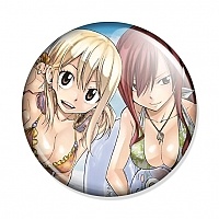  Fairy Tail Lucy and Erza