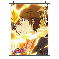   Katekyo Hitman Reborn! Tsunayoshi Sawada