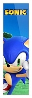  Sonic 349893