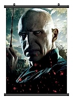   Harry Potter 346700