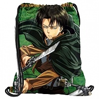    Shingeki no Kyojin 302360