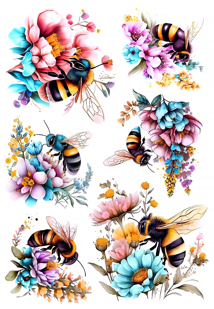 �������� ����� �� ������ / ��������