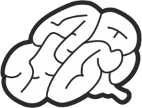 ������ ���������� ���� 14-13