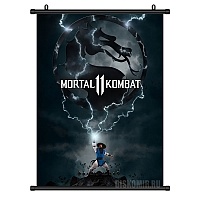   Mortal Kombat 11