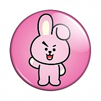  BT21 - COOKY
