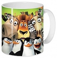  Madagascar 307058