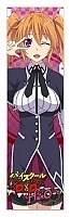 �������� High School DxD Hero Shido Irina