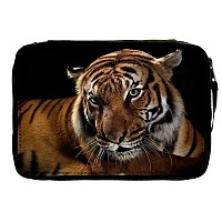   Animals Theme 330730