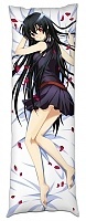    Akame ga Kill! - Akame