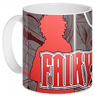  Fairy Tail 300995
