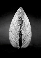    Black & White -  /   