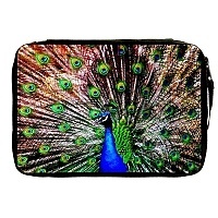   Animals Theme 330735