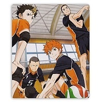    Haikyuu!! 310923