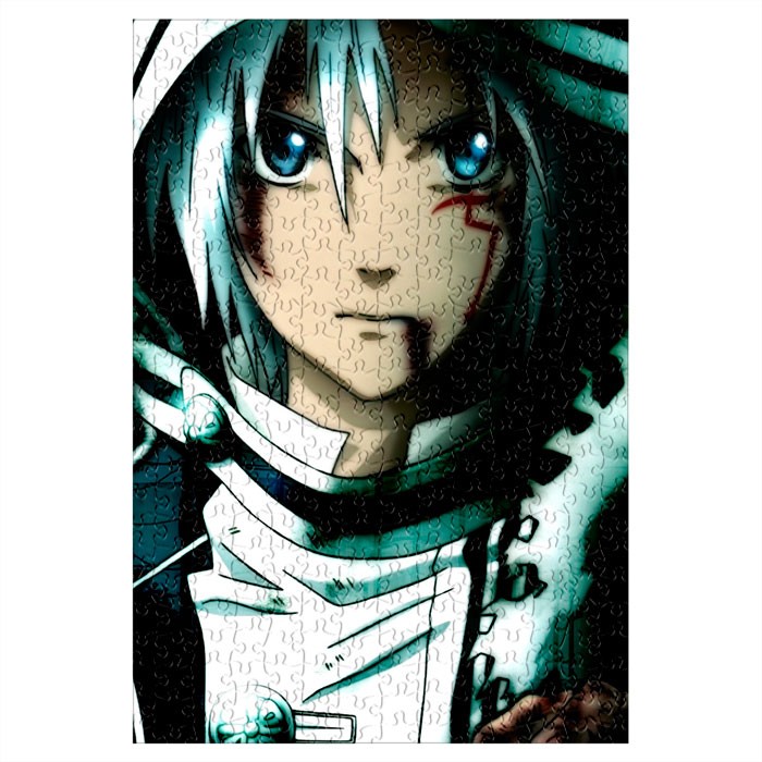 ���� ����-��� / D.Gray-man (������ A3, 252 ������)