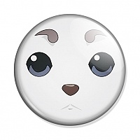   Sadaharu face