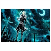  D.Gray-man ( A3, 252 ) 67000
