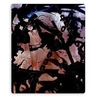    Black Rock Shooter 308232