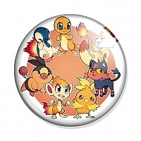  Pokemon GO - Charmander, Chimchar, Cyndaquil, Fennekin, Litten, Tepig, Torchic