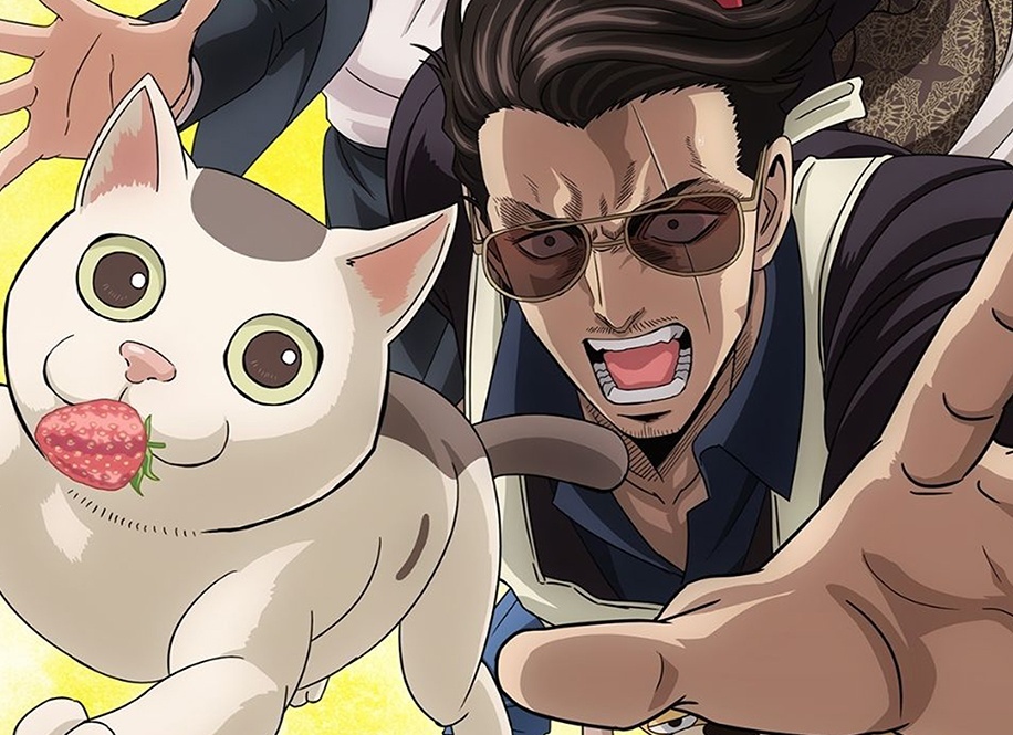 ������ �������� ���� ����������� - ����