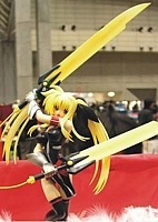 Fate True Sonic Form FG5744