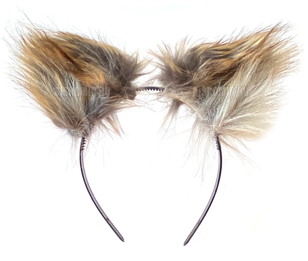 ���������� ������� ���� ���� ����� �� ������ �� ����� � ����� 