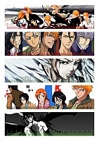   Bleach No.1