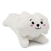 ����� �������� ������ Bangtan Boys BTS - Jin Rj