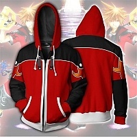  3D    Kingdom Hearts 2 Sora Valor Form