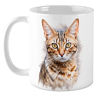  Bengal cat / 