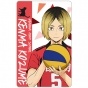 ������ ������������� Haikyu!! To The Top - Kozume Kenma