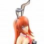 ������� Steins;Gate Makise Kurisu Bunny Ver.