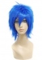 ������� ����� Vocaloid Kaito V-Home