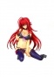 High School DxD - Rias Gremory Premium ver.