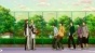 Kuroko no Basuke ( ) HD