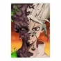   Dr. Stone Art