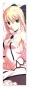 �������� Fate Stay Night Saber Lily