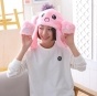����� �������� Tik Tok Rabbit �������