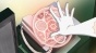 -   / Kobayashi-san Chi no Maid Dragon