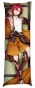 ��������� ���������� Genshin Impact - Shikanoin Heizou