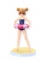 Toradora ! Aisaka Taiga School Swimsuit Beach Queen ver.
