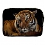   Animals Theme 330730