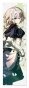 �������� Fate/Apocrypha Joan of Arc