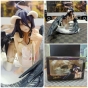 ������� Overlord Wing Albedo Lingerie (������)