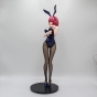  Food Wars Shokugeki no Soma Hisako Arato bunny girl ()