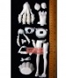 Adelicia Lenn Mathers FG4610