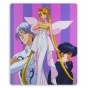    Bishoujo Senshi Sailor Moon 47762