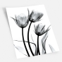     - X-Ray Flowers